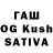 Галлюциногенные грибы Psilocybine cubensis BLOOD99