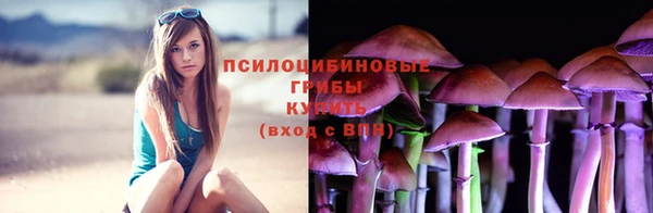 гашик Армянск