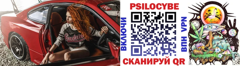 Галлюциногенные грибы Psilocybe  блэк спрут рабочий сайт  Верещагино  наркота 